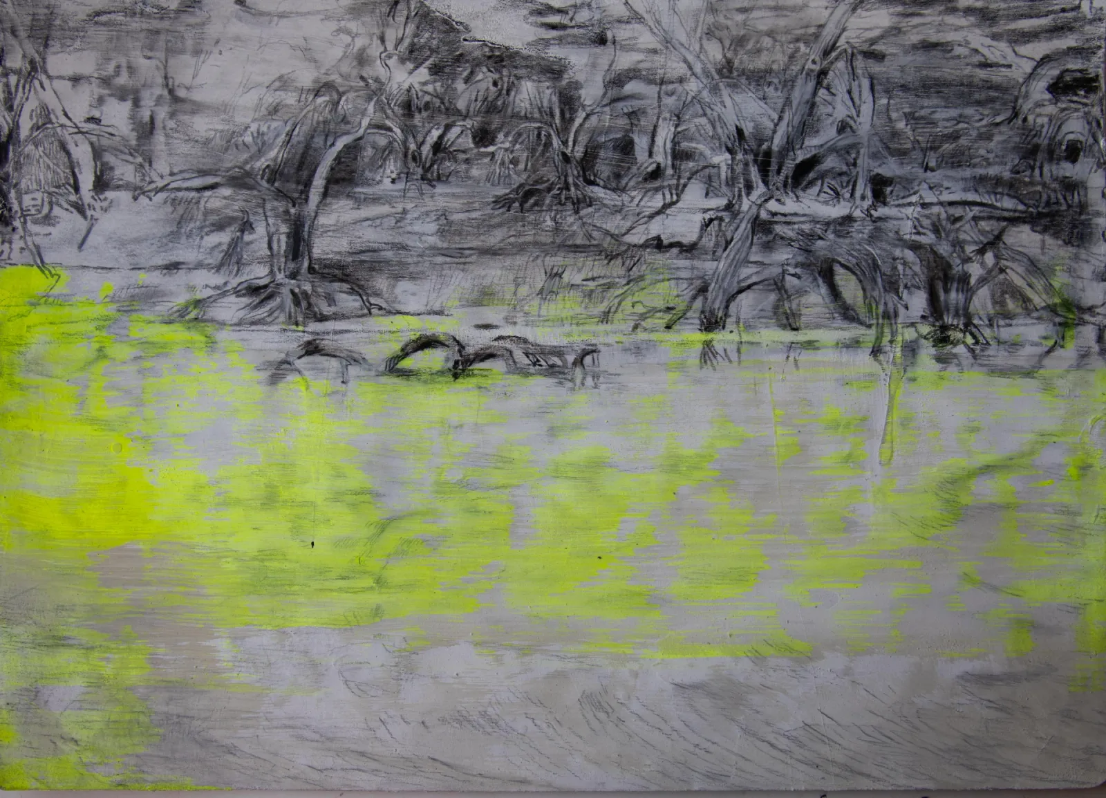 Drawings from a kayak